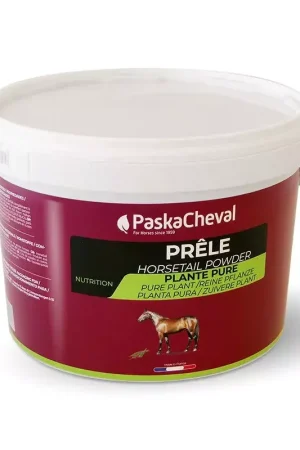 Prele Appareil articulaire - PASKACHEVAL Prix Cassé