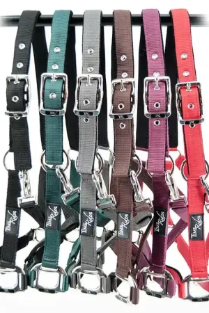 Licol nylon renforcé Stationata Haute Qualité
