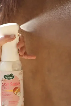 Easy Shine Intense Ravene Démêlant lustrant Promotion