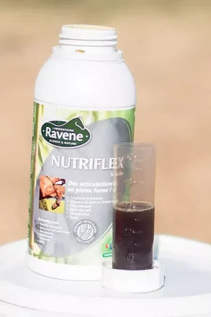 Seulement Aujourd'hui Nutriflex Ravene