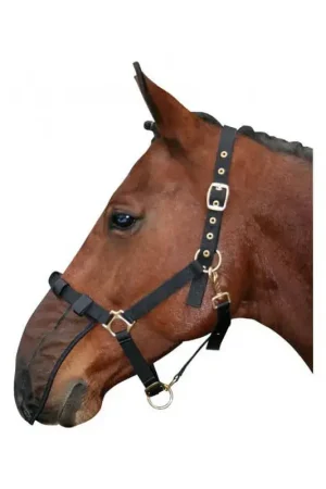 Filet pour naseaux Harry's Horse Paiement Sécurisé