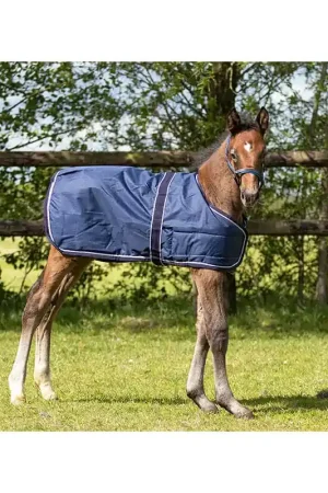 Couverture extérieure foal 100gr QHP Pas Cher
