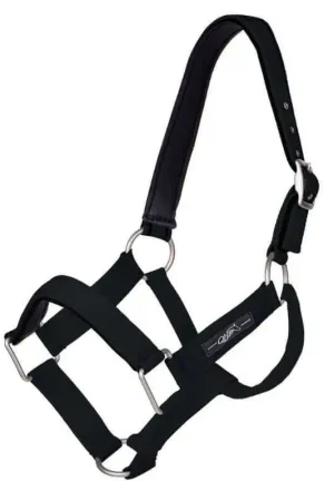 Licol nylon robuste QHP Seulement Aujourd'hui