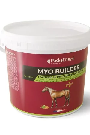 Myo Builder Paskacheval Top Vente