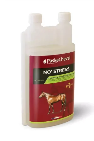 No stress Paskacheval Affaire À Saisir