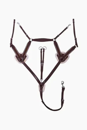 COLLIER DE CHASSE ONTARIO | QHP Achetez Aujourd'hui