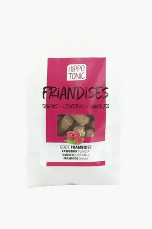 BONBONS FRAMBOISE | HIPPOTONIC Nouveauté