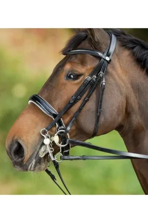 Super Prix HFI Bride Weymouth