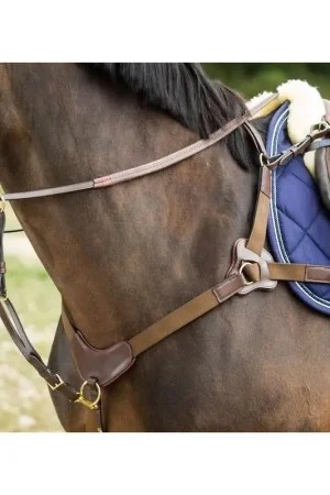 HFI Collier de Chasse à 5 points Jusqu'à Épuisement Des Stocks
