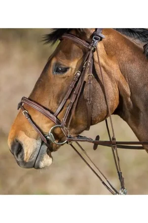 Petit Prix HFI Gogue à Poulies