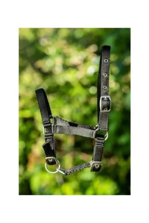HFI Licol Nylon Poulain Marque