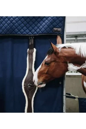 Top Vente Kentucky Tenture de box Imperméable