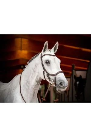 Dernière Chance Horseware Bridon Rambo Micklem Competition
