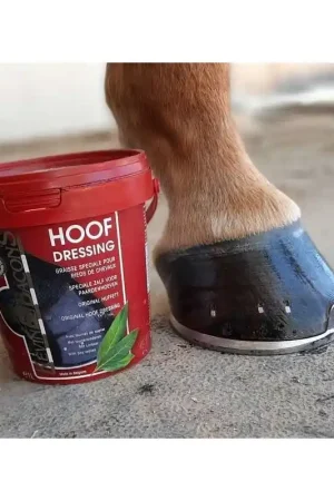 Prix Réduit Kevin Bacon Kevin Bacon's Hoof Dressing Blond
