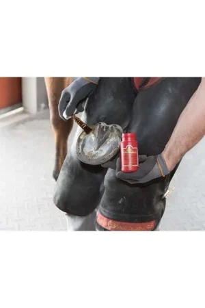 Solde Kevin Bacon Kevin Bacon's Hoof Solution