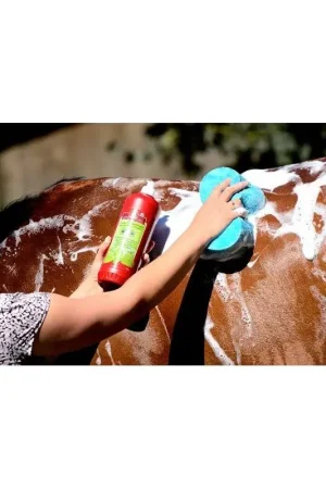 Kevin Bacon Kevin Bacon's Lucy Diamonds Horse Shampoo Haute Qualité