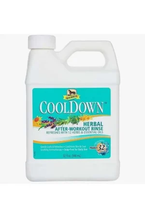 Prix Cassé Absorbine Absorbine Cool Down 950ml