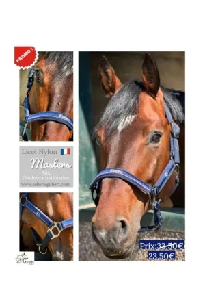 Offre Du Jour Masters Licol Masters - Couleurs français