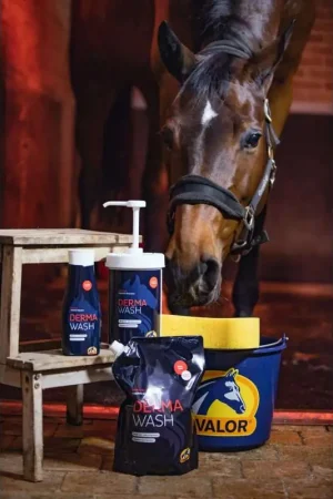 Pas Cher Cavalor Derma Wash Cavalor