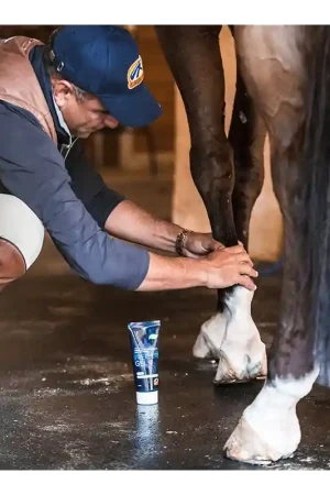 Cavalor FreeBute Gel Cavalor Dernière Chance