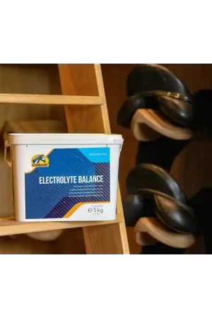 Cavalor Electrolyte Balance Cavalor Prix Promo