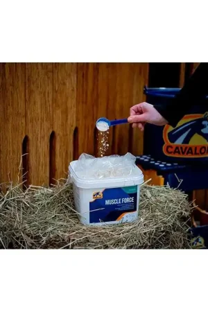 Cavalor Muscle Force Expédié Aujourd'hui