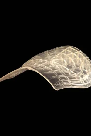 Nouvelle Collection Acavallo Gel Pad & Back Riser