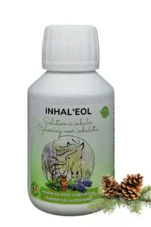 Solde Essence of Life Inhal'eol
