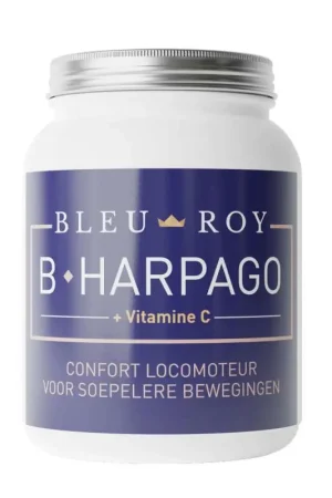 Offre Exclusive Bleu Roy B-Harpago