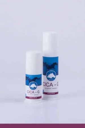 Remise Soinvett CICA Gel