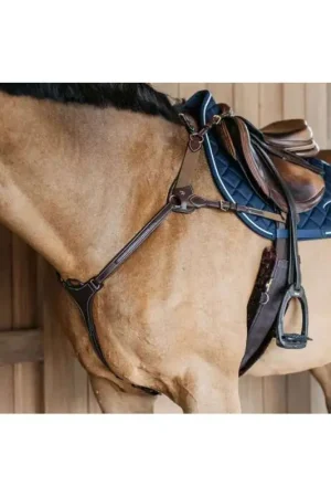 Affaire À Saisir Dy'on Collier de Chasse 5 Points & Elastiques