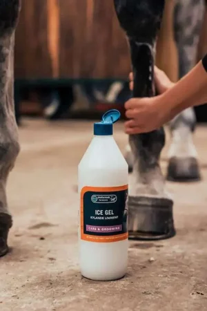 Biofarmab Horsecare Ice Gel 500ML Meilleur Choix