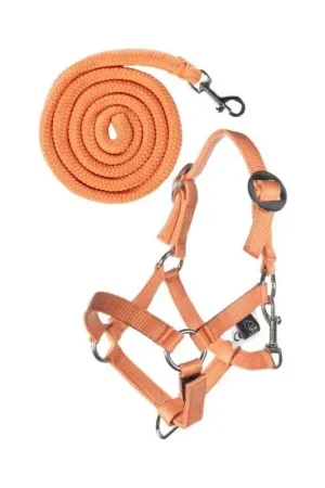 Super Prix HKM Sport Licol et longe Hobby Horsing Basic HKM