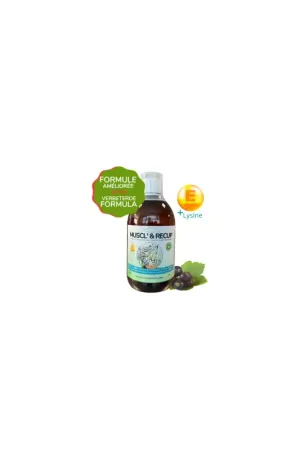 Top Vente Essence of Life Muscl'&Recup +E