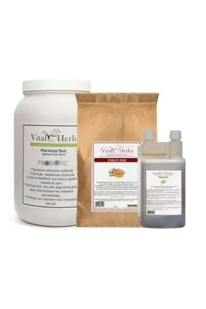Vente Flash Vital Herbs Pack Lyme/Piro Support