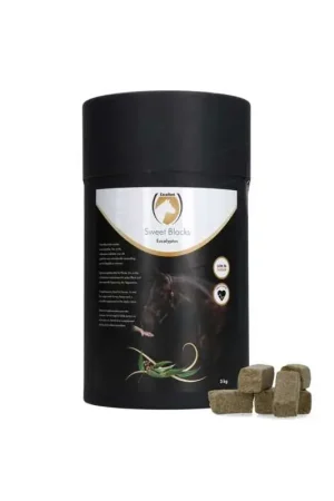 Acheter Direct Excellent Excellent Sweet Eucalyptus Blocks 3KG