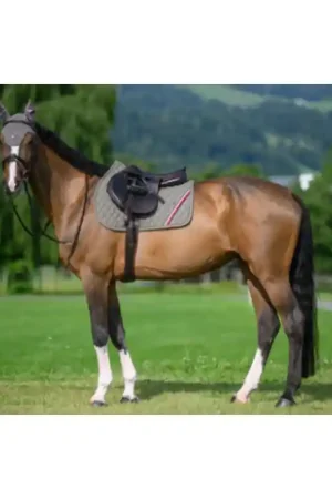 Tommy Hilfiger Tapis de selle TH Jumping Stanford Solde