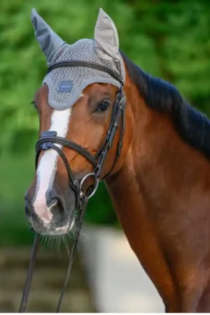 Boss Equestrian Bonnet anti-mouches BOSS Expédié Aujourd'hui