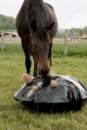 Kentucky Sac à Foin Play & Slowfeeder Rond Bon Marché