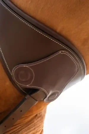 Produit De Marque HFI Sangle Anatomique avec Aimants HFI