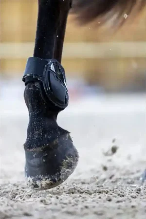 Pro-Confort Horsewear Cordial Protèges-boulets coqués avec doublures interchangeables Livraison Express