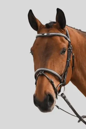Jump'In Bridon Clincher - Collection One Premium Achetez Aujourd'hui