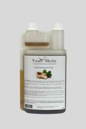 Vente Flash Vital Herbs Vital'Immune PLUS