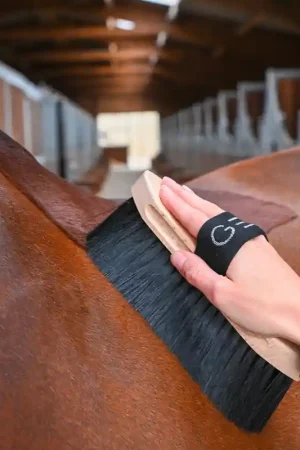 GEM Equitation Brosse Poils Longs GEM Equitation Bon Marché