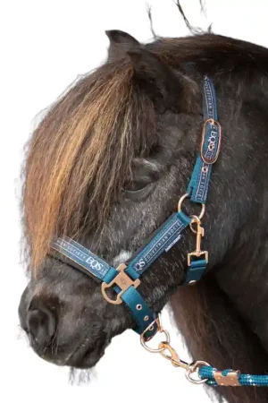 Harry Horse Licol & Longe Equestrian Society Commande En Gros