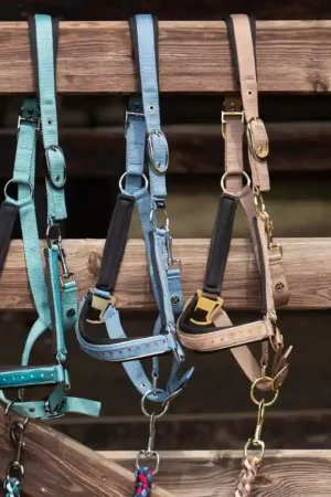 Expédition Rapide Harry Horse Licol & Longe Crystal