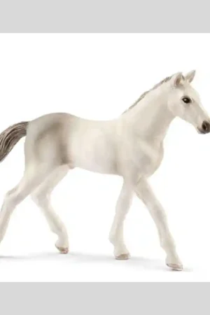Meilleur Choix Schleich Poulain Andalou