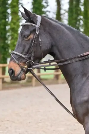 Jump'In Rênes allemandes cuir plat Collection Week Remise