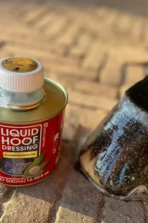 Kevin Bacon Kevin Bacon's Liquid Hoof Dressing Glitter Gold Edition Offre Spéciale