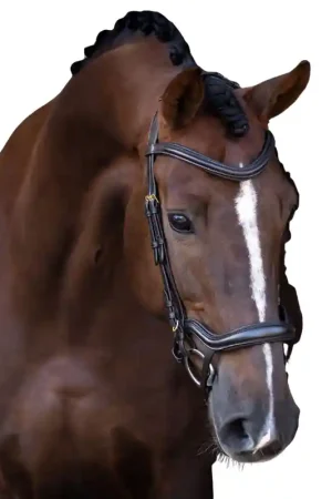 Imperial Riding Bridon IRH avec muserolle ergonomique combinée (croisée / pull-back) Paiement Sécurisé